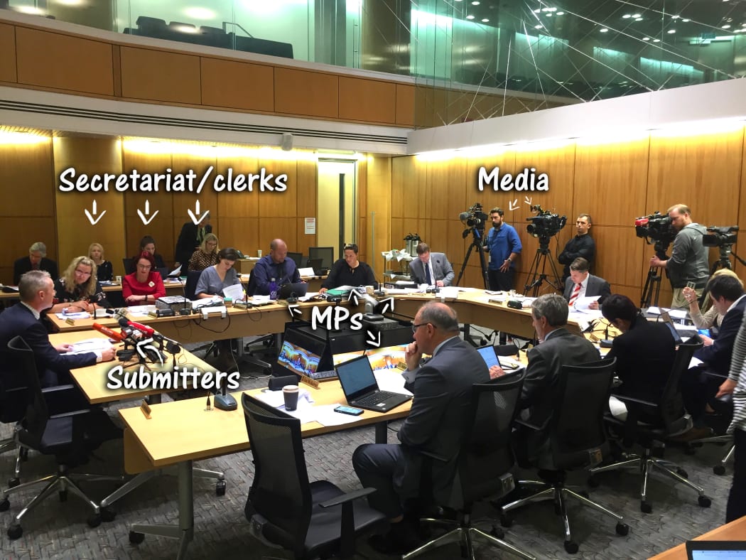 The Finance and Expenditure Committee hearing from Police Association President Chris Cahill.