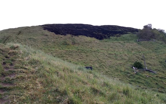 Burned grass on Maungarei / Mt Wellington, Auckland, after a Guy Fawke's night fire.