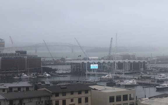 In Auckland, wind gusts, debris and trees damaged power lines.