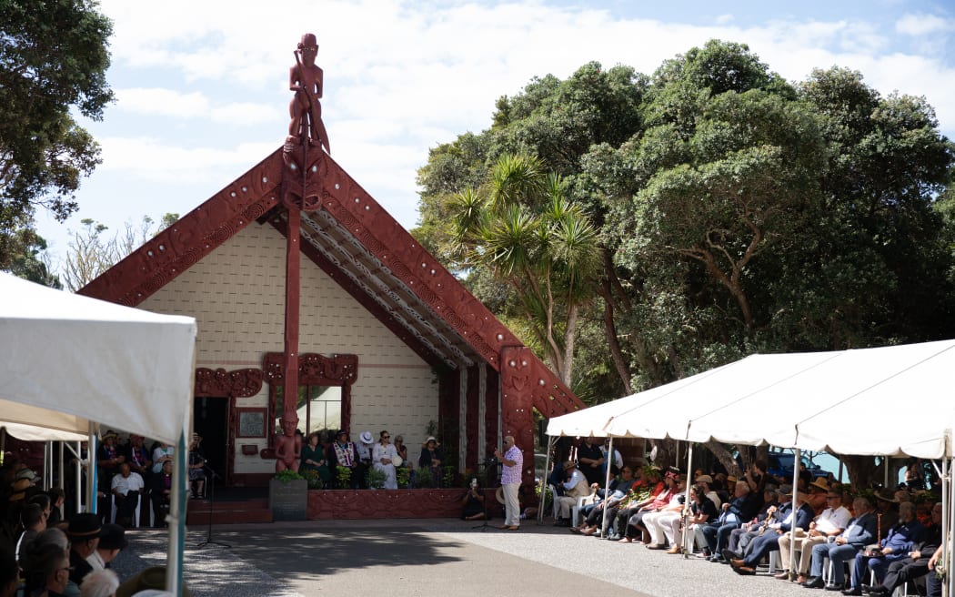 Rawiri Waititi speaking on the paepae at Waitangi on Tuesday afternoon.