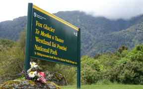A single bunch of flowers by the entrance to the Fox Glacier on 26 November 2015.