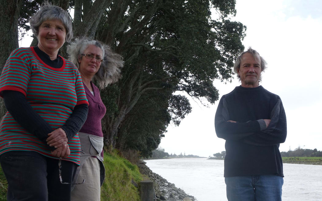 Fiona Clark, Andrea Moore and Mark Jury are not convinced 23 mature pohutukawas in Waitara need to be felled.