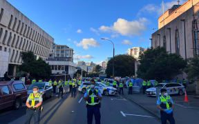 A large number of protesters on the street.