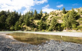 Mohaka River near Pungahuru Falls near Napier.
