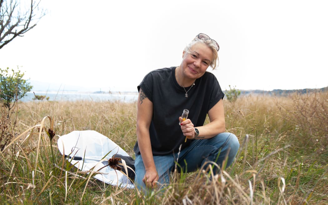 Dr Julia Kasper, Lead Curator Invertebrates, Museum of NZ Te Papa Tongarewa.