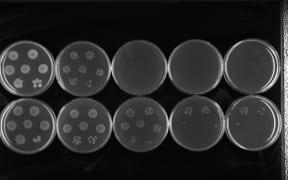 Antibiotic resistance