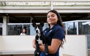 SPCA Auckland Canine attendant, Margaret Stanaway, holds a puppy