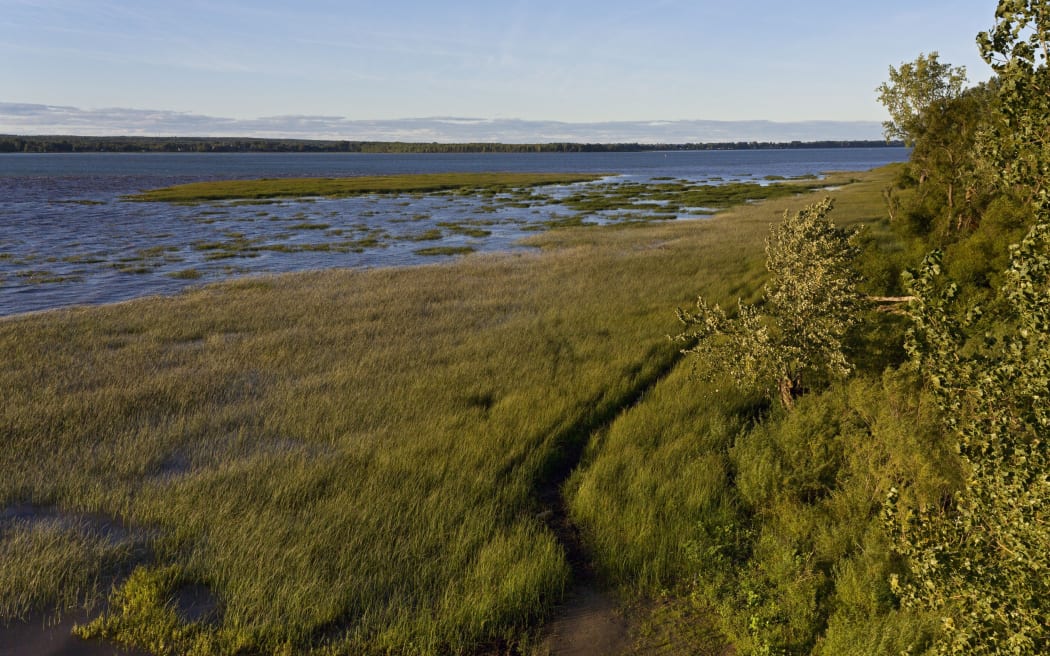 Canada, Quebec province, Centre du Quebec region, the Navigators' Route, the ecological park of l'Anse du Port in Nicolet, along the St. Lawrence River (Lake Saint Pierre).