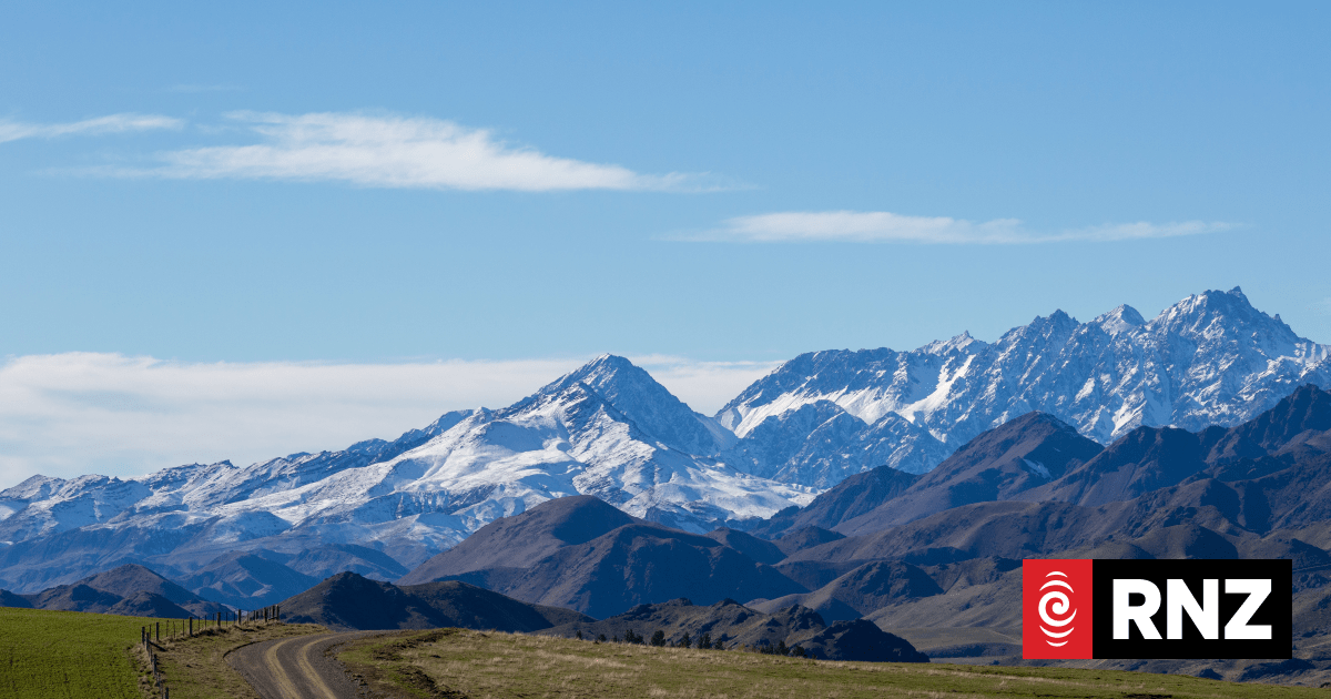Molesworth Station: The groups vying to take over the country's largest farm