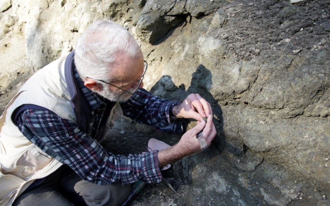 Leigh Love has found many internationally significant fossils.