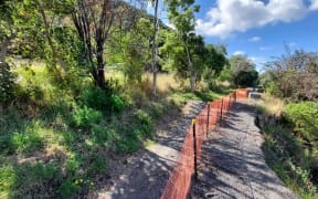 A slip at the top of a 6-7m high cliff alongside the Hutt River at Taitā, is eroding ground just metres from State Highway 2, behind the trees on the left. A major sewage pipe runs under the walking-bike path.