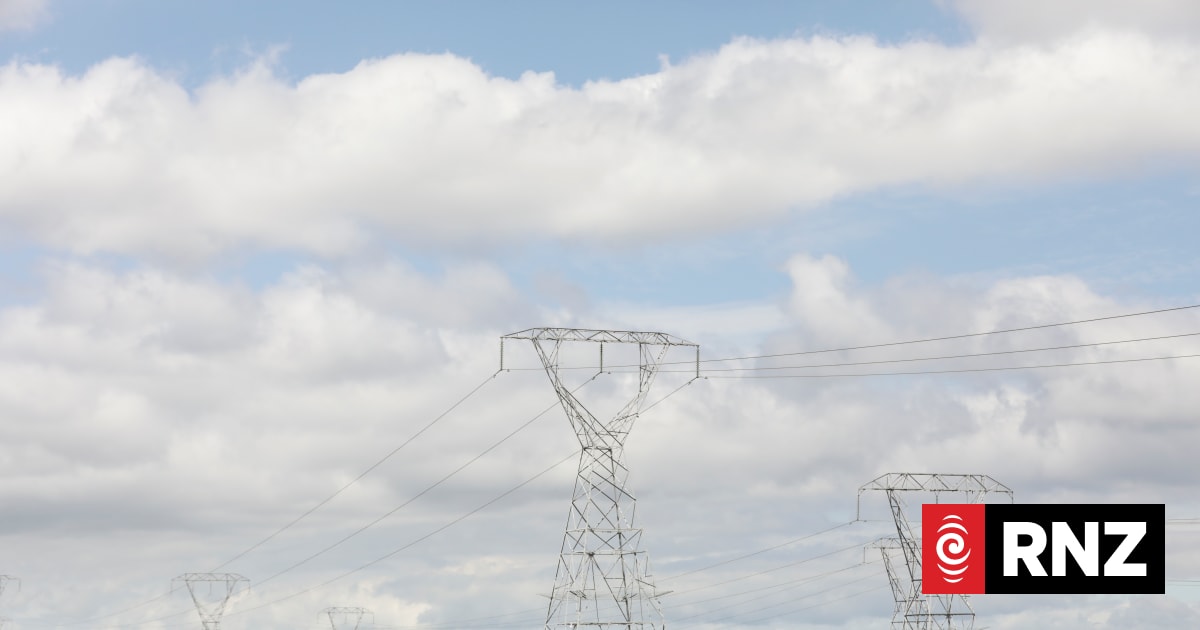 Elements of New Zealand electricity market 'really appealing' - visiting US expert