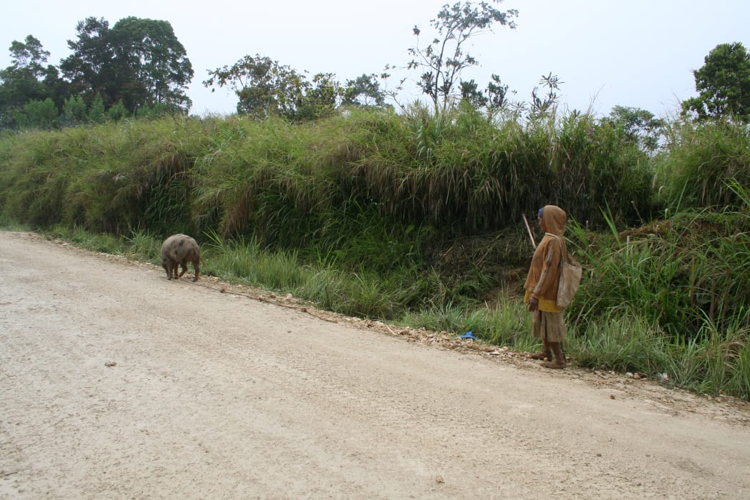 A woman and her pig, roadside, Hela Province, Papua New Guinea.
