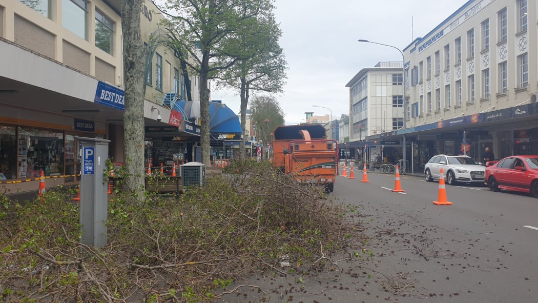 Crews trim trees along Devon Street.