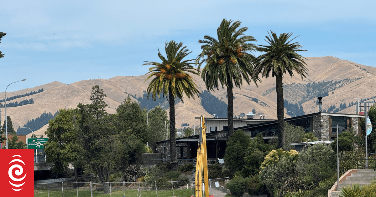Swampy to the rescue: Swimming excavator dredges Blenheim river
