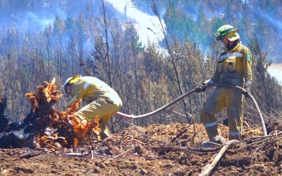 Firefighters at Tasman fire.