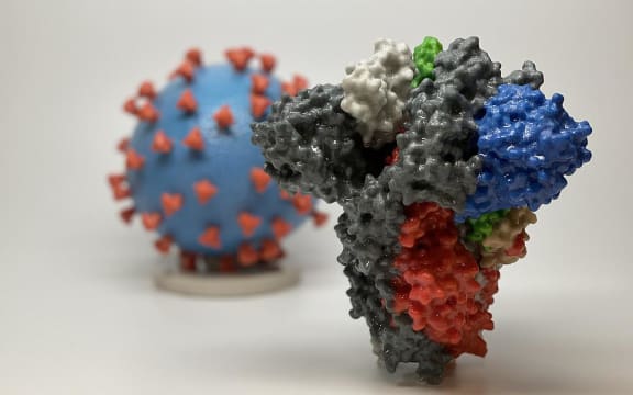 3D print of a spike protein of SARS-CoV-2, in front of a 3D print of a SARS-CoV-2 virus particle. The spike protein (foreground) enables the virus to enter and infect human cells.