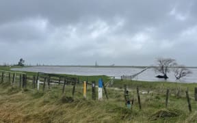 Surface flooding on Poverty Bay Flats