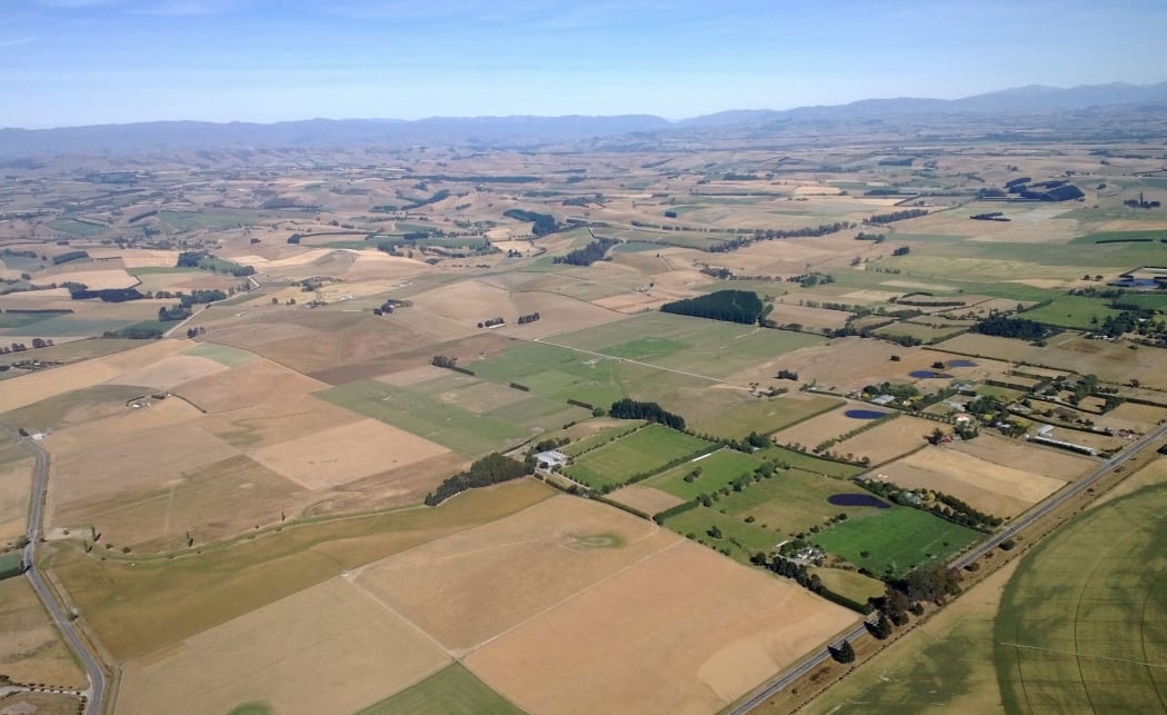 Drought conditions in mid-Canterbury, January 2015