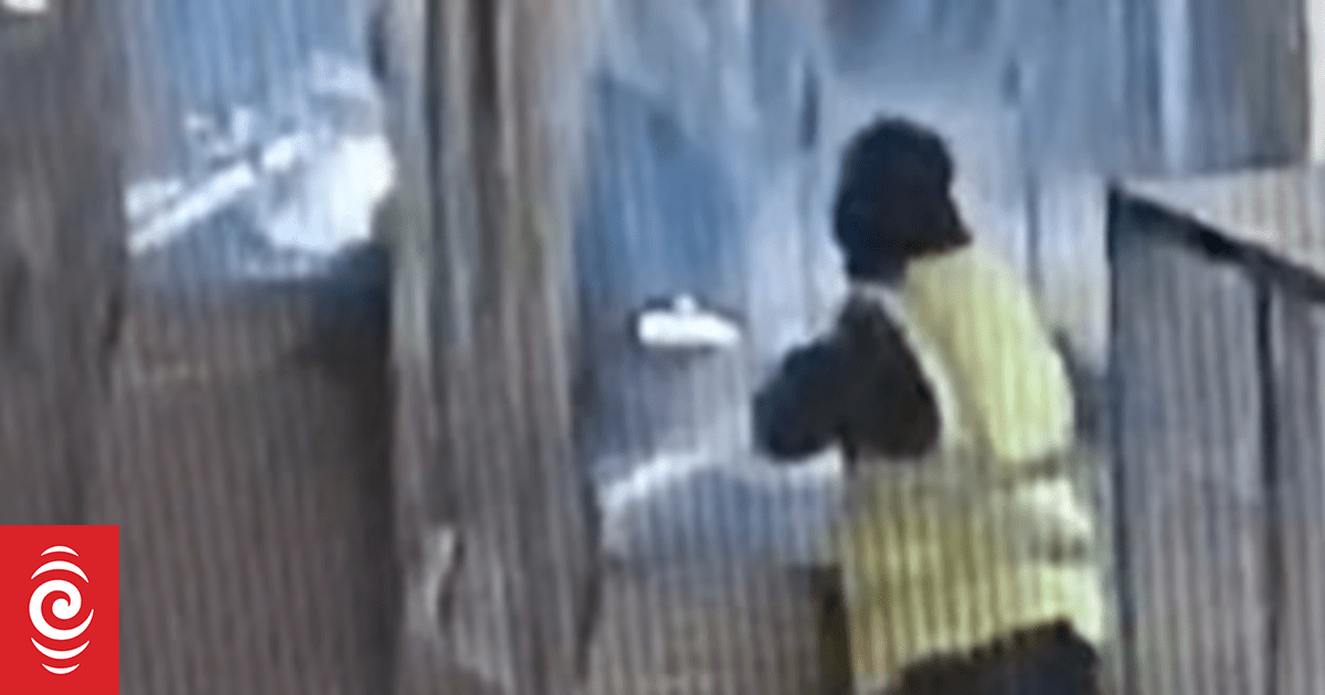 French media releases new security footage of thieves in Louvre heist