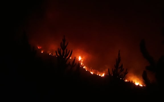 The Nelson fire burning overnight.