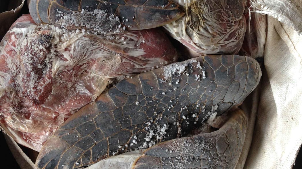 Seized turtle meatSeized turtle meat
