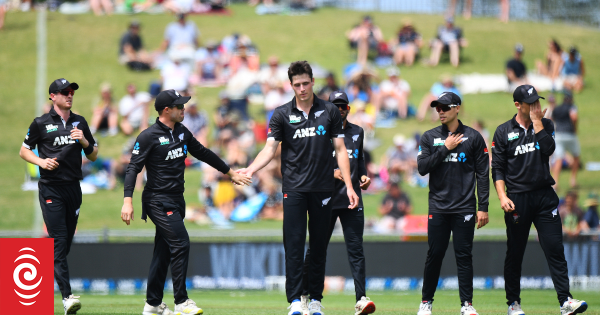 Black Cap's ODI cricket drought is finally over