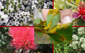 Scientists have been working to predict what the future of biosecurity will look like.