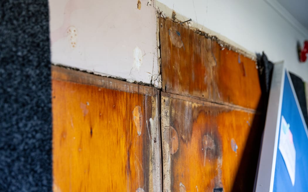 The photo shows the section of a water damaged wall in a classroom at Te Pā o Rākaihautū, a Christchurch based school. The wood on the wall seems to be moldy with water stains with parts of it crumbling away.