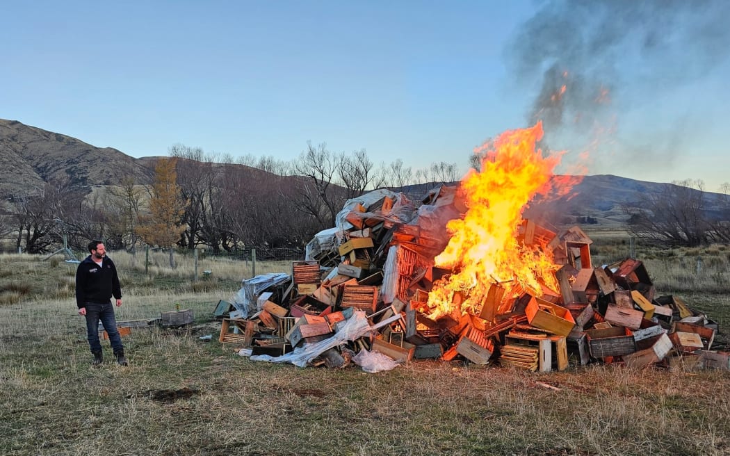 Beekeeper Steven Brown - Springbank Honey hives destroyed cos of American Foulbrood