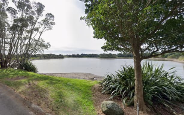 Cost of eliminating invasive clams from lake too much for council | RNZ