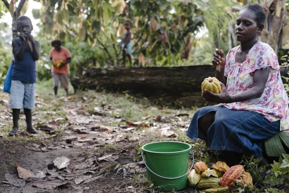 Mother of three Elsie Konovai, works on her family’s cocoa plantation, which is now earning her and her family an income.