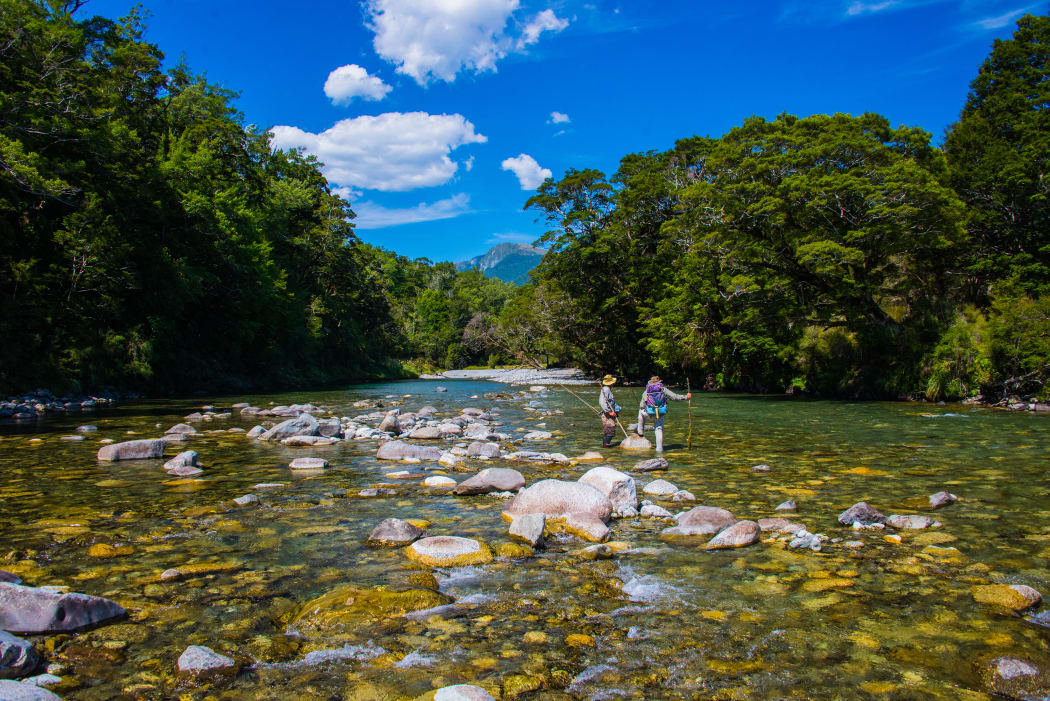 A photo of the Upper Grey River by Les Hill.