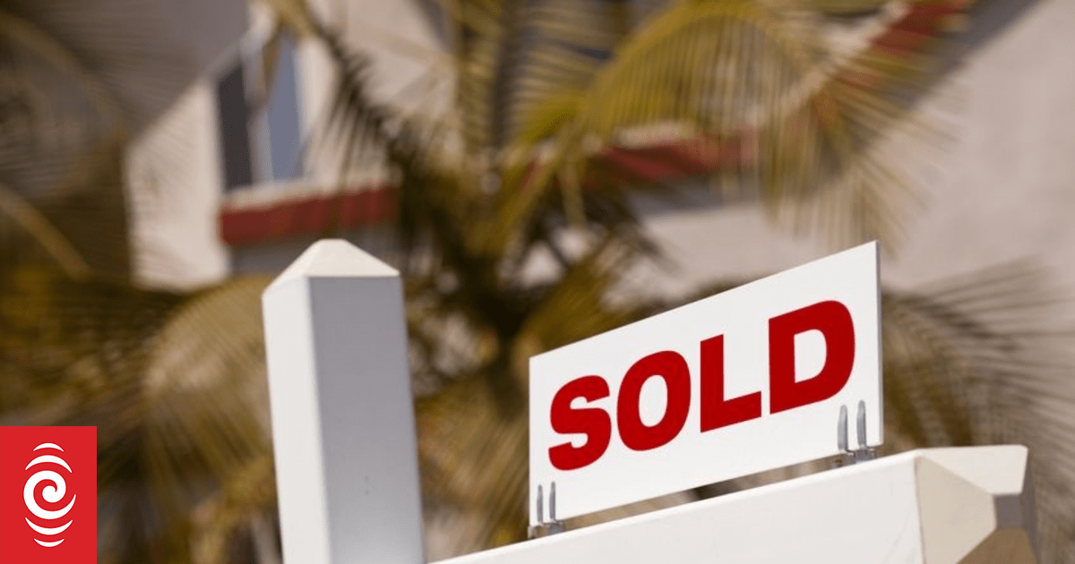 Waikato real estate salespeople Steven and Scott Mathis, Pete ...