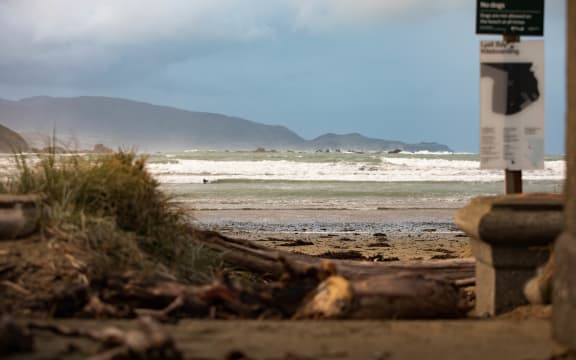 Waves crash against Wellingtons southern coast