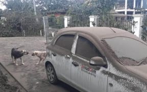 Ash covers a car in Nuku'alofa, Tonga.