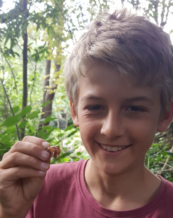 Olly Hills with the shed husk of a cicada, left behind as a nymph emerged as an adult after many years in the ground.