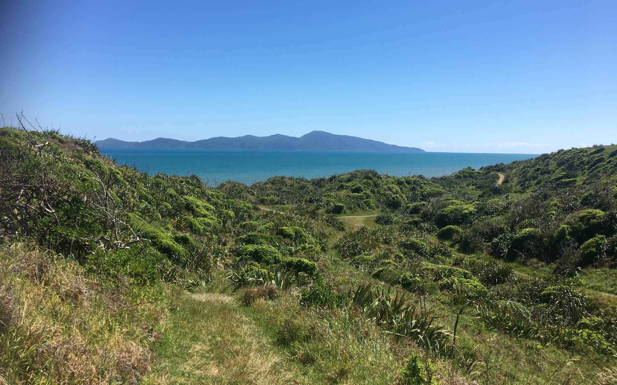 Queen Elizabeth Park, Paekākāriki