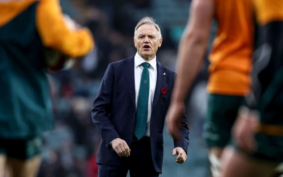 Wallabies head coach Joe Schmidt.