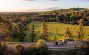 People biking around the Barossa