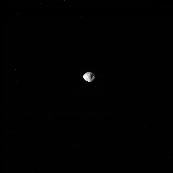This animated GIF built with unprocessed raw images show's Cassini close pass by Saturn's moon Atlas.