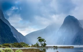 Milford Sound, Fiordland National Park.