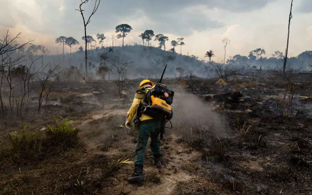 Members of the IBAMA forest fire brigade (named Prevfogo) fight burning in the Amazon area of rural settlement PDS Nova Fronteira, in the city of Novo Progresso, Para state, northern Brazil, - September 3 2019