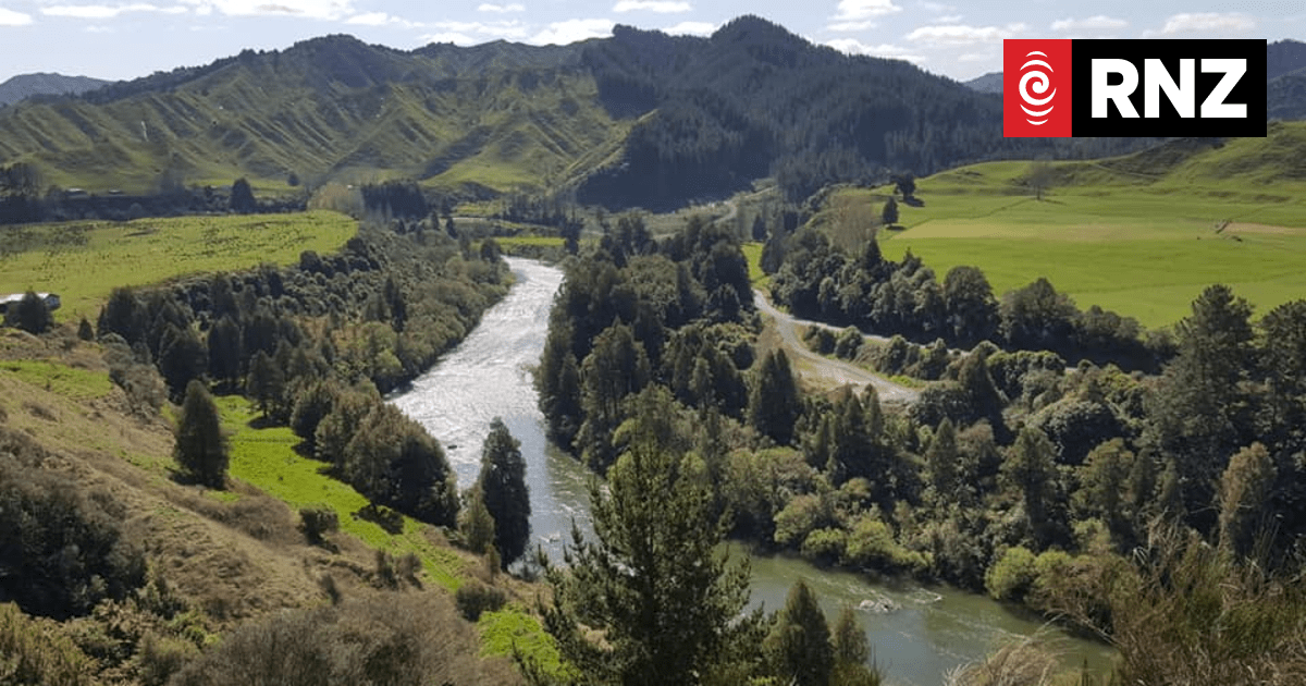 Mass fish deaths in Whanganui spark call for public's help - Vimarsana News