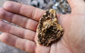 The gold nugget found by Craig Douglas