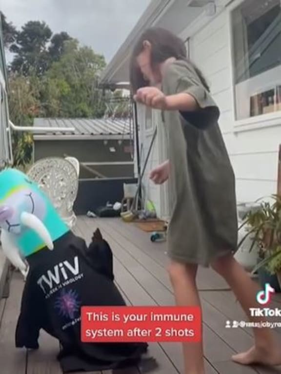 A little kid runs up to a blue inflatable walrus and deftly knocks it over.