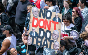 Scenes from the 2024 Hikoi to Parliament in protest against the treaty principles bill.