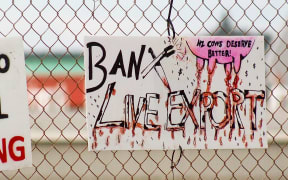 Signs at the protest today.