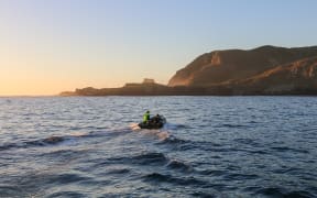 An inflatable zodiac dinghy motors across dark blue ocean towards the craggy steep cliffs of an island with golden first light breaking over the horizon on a clear sky.