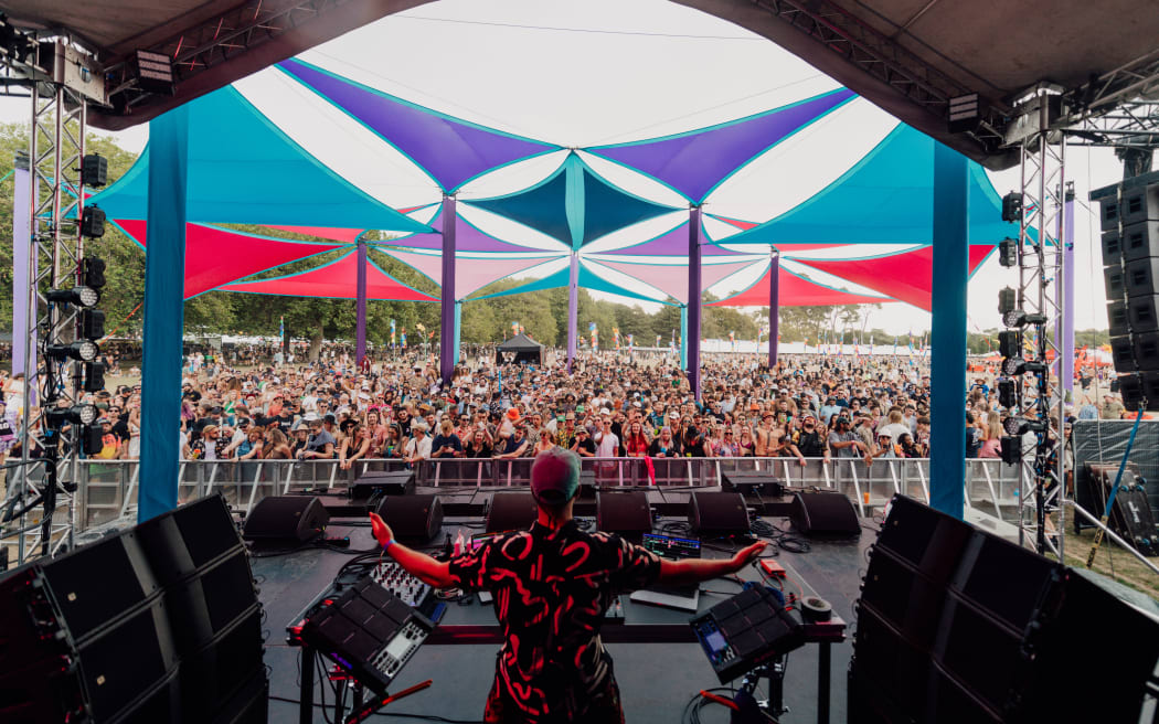 The crowd at the Cosmic Stage during the mid-afternoon. PHOTO: Electric Avenue / Team Event